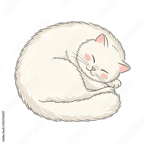 Flat vector of a fluffy white cat curled up sleeping peacefully
