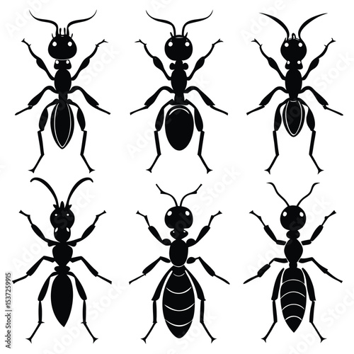ant-icon-set-of-6-silhouette--icon-vector-white-ba.eps