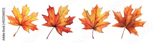 Watercolor set of autumn maple leaves png. Maple leaves in autumn colors in watercolor style on a prosaic background. Elements for Autumn designs, Knowledge Day, Thanksgiving Day, Halloween, etc.