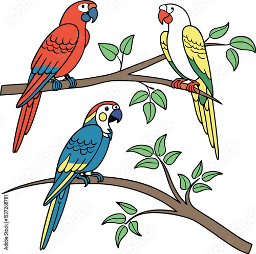 parrot vector