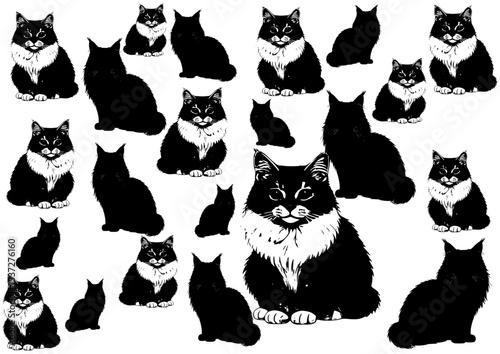set of cats