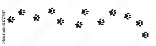 paw print foot trail, cat paw print and dog paw print, vector illustration