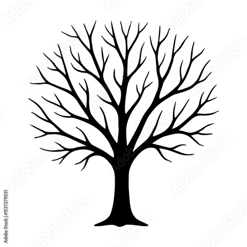 Bare Tree Silhouette for Winter Nature Scene and Seasonal Forest Background Vector.