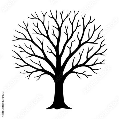 Leafless Winter Tree Silhouette Vector for Nature, Forest and Seasonal Artwork Design.