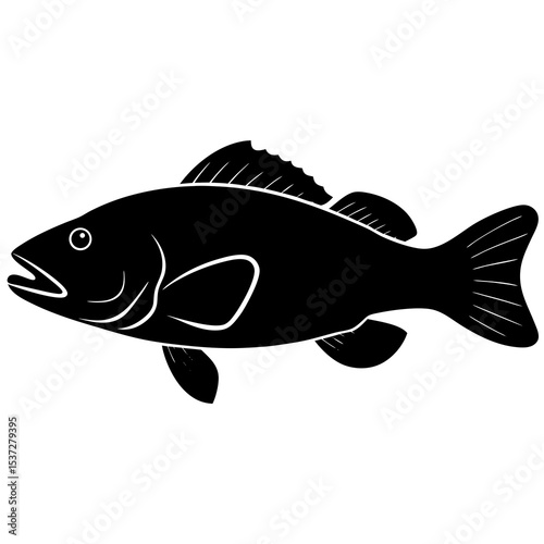 Vector silhouette of a grouper fish