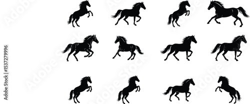 Horse Silhouette Set