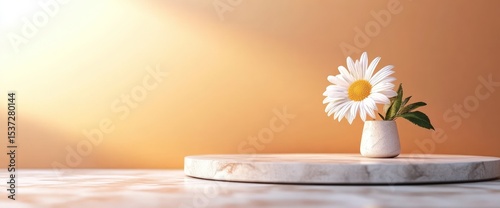Daisy flower in vase on marble platform soft light studio background