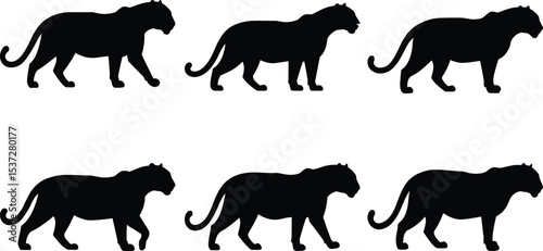 Panther Silhouette Vector