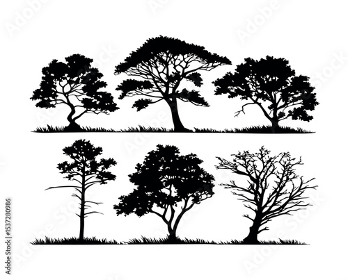 Six tree silhouettes collection vector illustration silhouette