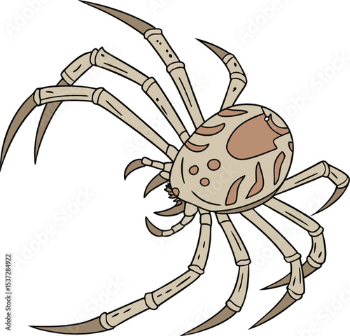 Detailed Illustration of a Unique Eight-Legged Arachnid