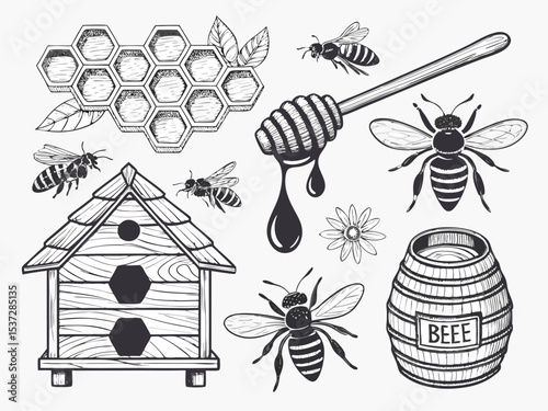 bee and honey