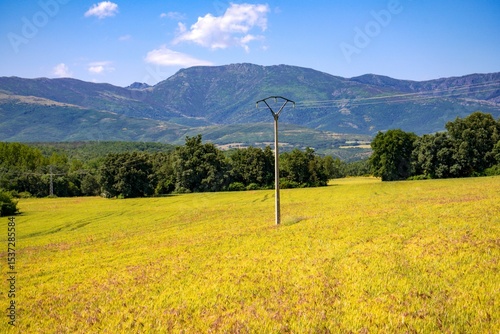 Postes eléctricos en un campo verde con montañas al fondo en un día soleado.