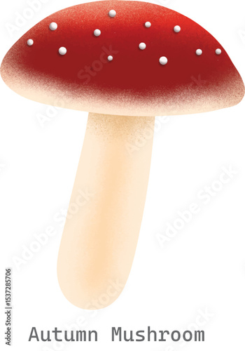 Autumn mushroom collection illustration