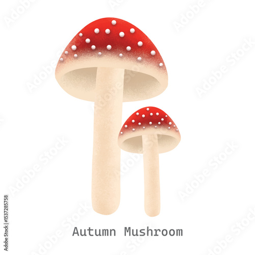 Autumn mushroom collection illustration