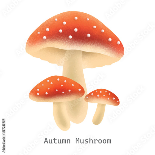 Autumn mushroom collection illustration