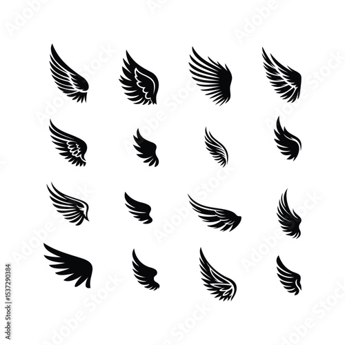 Set of Wings Icon Silhouette Vector