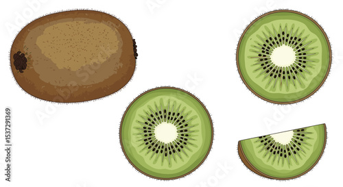 Nutrient-Rich Kiwi Fruit An Exotic and Healthy Choice for Your Everyday Diet Plan