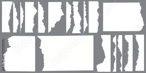 White realistic torn or ripped paper strip collection with grunge edges. Rips paper texture vector art background	