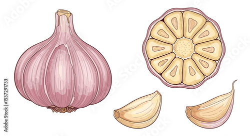 A Culinary Treasure The Remarkable World of Garlic Aromatic Flavor and Versatile Herb