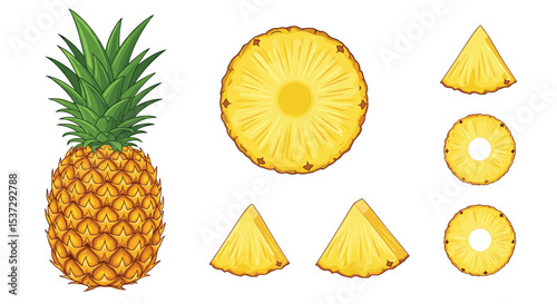 A Collection of Fresh and Juicy Pineapple Images Showing Different Cuts and Views