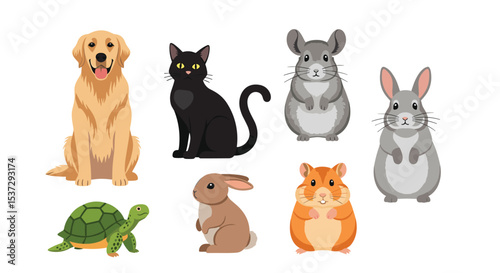 Understanding Common Household Companions and Their Care A Comprehensive Overview of Pets