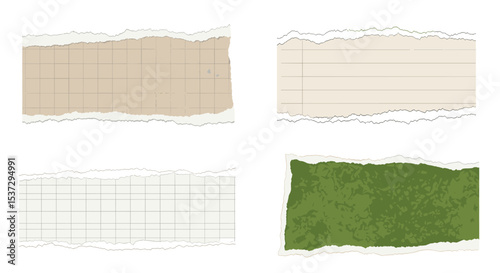 Torn Paper Collection Variety of Texture Paper Edge Isolated on White Background Design Resource