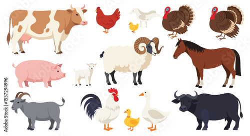 The Variety of Livestock Animals Found on a Modern Domestic Animal Farm