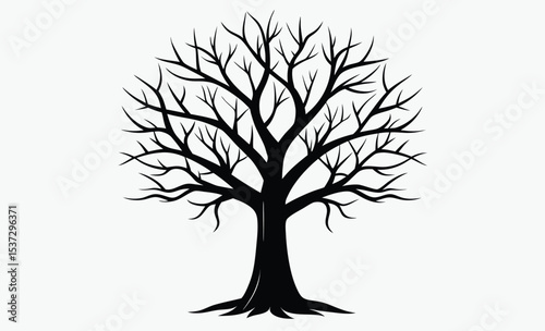 Bare tree silhouette, leafless tree drawing, spooky tree outline, hand drawn illustration