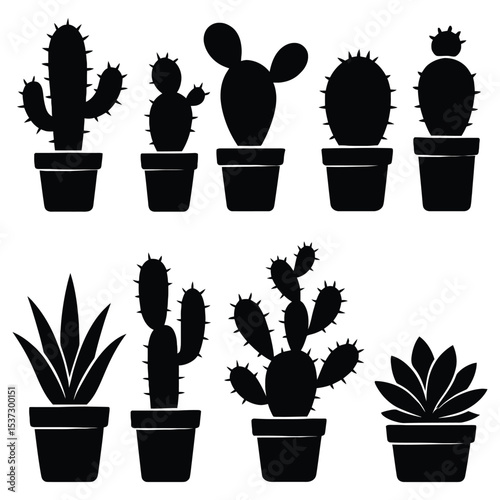 Ten cactus and succulent silhouettes isolated on white background