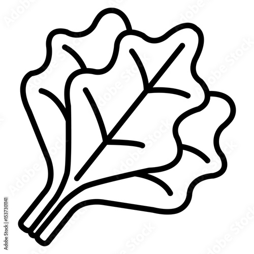 spinach icon Thin line vector design