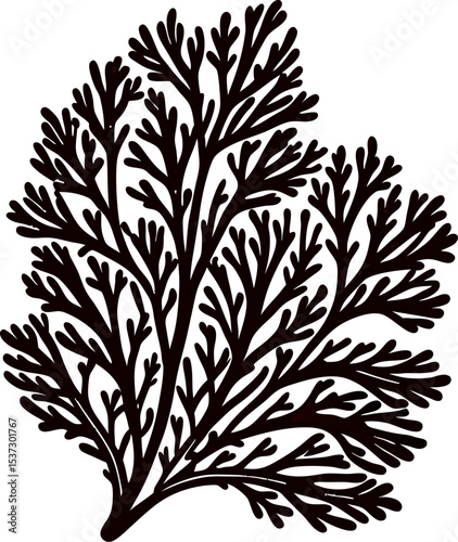 minimalist-sea-fan-coral-with-delicate-details----.eps