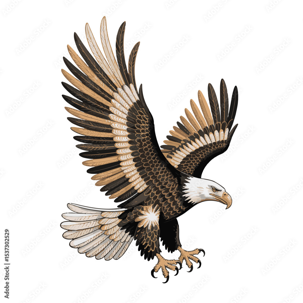 Fototapeta premium An American bald eagle soars powerfully in flight