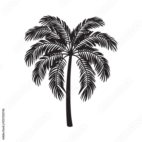 Simple Black Silhouette of a Tropical Palm Tree