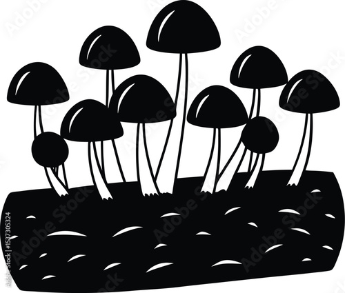 vector illustration of mushrooms