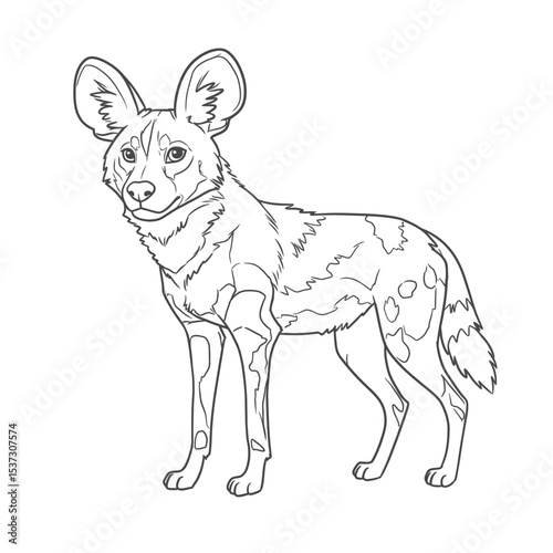 African Wild Dog – Lycaon pictus.Black-and-white outlined illustration of an African wild dog standing with a relaxed but alert posture. The clear line work makes it suitable for coloring pages