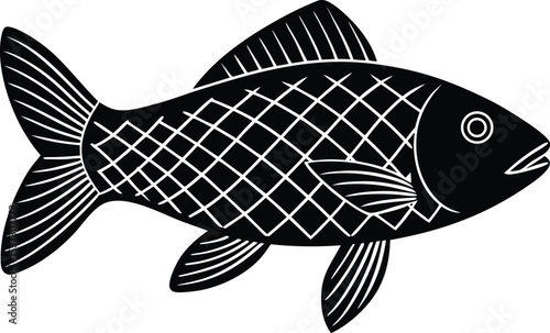 fish on a white background