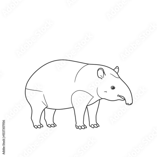 A unique tapir with an elongated snout, depicted in a detailed sketch standing in grassy terrain. The illustration highlights the animal's distinctive features and natural environment