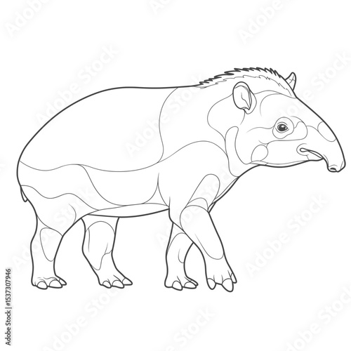 A unique tapir with an elongated snout, depicted in a detailed sketch standing in grassy terrain. The illustration highlights the animal's distinctive features and natural environment