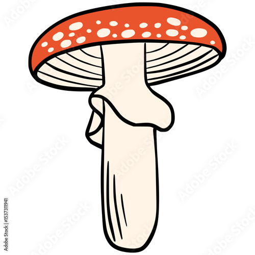 Illustration of a red toadstool mushroom with a white stem and white spots on the cap. Perfect for woodland themes, fairytales, forest nature scenes, autumn vibes or children's books.