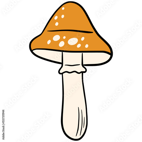 Illustration of an orange-capped mushroom with white stem and spots.Perfect for woodland themes, fairytales, forest nature scenes, autumn vibes or children's books.