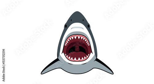 Great white shark with open jaw depiction on white background vector illustration