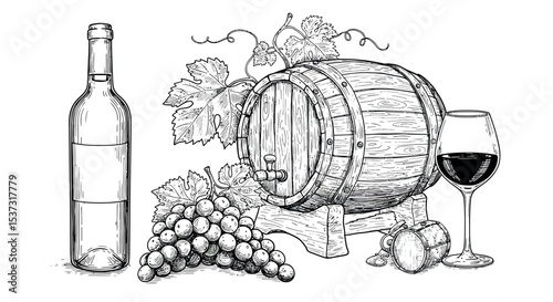 Wine and grapes sketch featuring vineyard barrel and bottle design for card or poster vector illustration