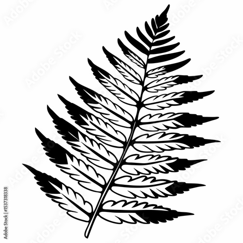 simplified fern leaf with refined artistic cuts.Tropical Leaf Silhouettes Collection – Monstera, Palm, Banana & Fern Vectors