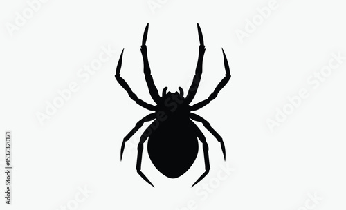black spider silhouette, halloween decoration, creepy insect vector, Silhouettes of black spider, Halloween decorations, Vector collection of spider 