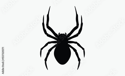 black spider silhouette, halloween decoration, creepy insect vector, Silhouettes of black spider, Halloween decorations, Vector collection of spider 