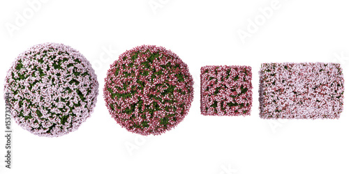 set of Pink flowers bush on transparent background from the top view