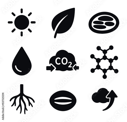 Plant Photosynthesis Icons. Solid, filled icons set of how a plant makes food: sunlight, leaf, chloroplast,
