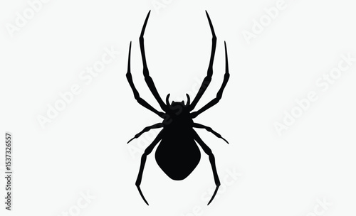 Spider hanging silhouette, halloween web vector, creepy insect icon, Silhouette of a spider hanging from a web, halloween vector 
