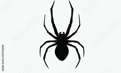 Spider hanging silhouette, halloween web vector, creepy insect icon, Silhouette of a spider hanging from a web, halloween vector 