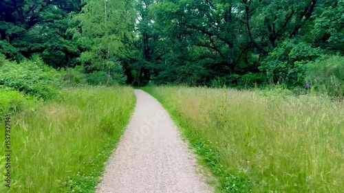 The path passes through dense forest and wildlife